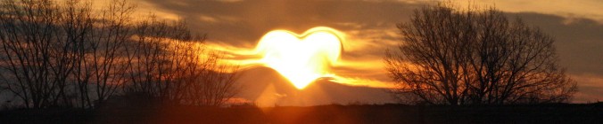 Das Herz in der Sonne
